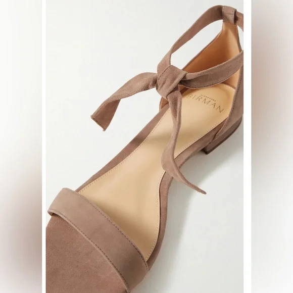 Alexandre Birman Clarita Suede Ankle Tie Sandals, Tan - Picture 4 of 9